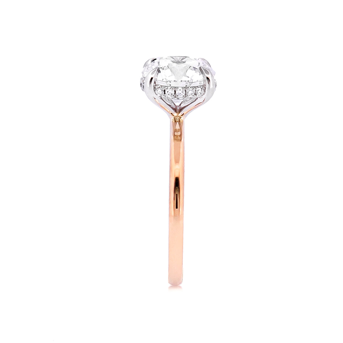 Round Engagement Ring with Hiding Halo