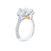 Edgeless Engagement Ring