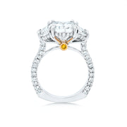 Edgeless Engagement Ring