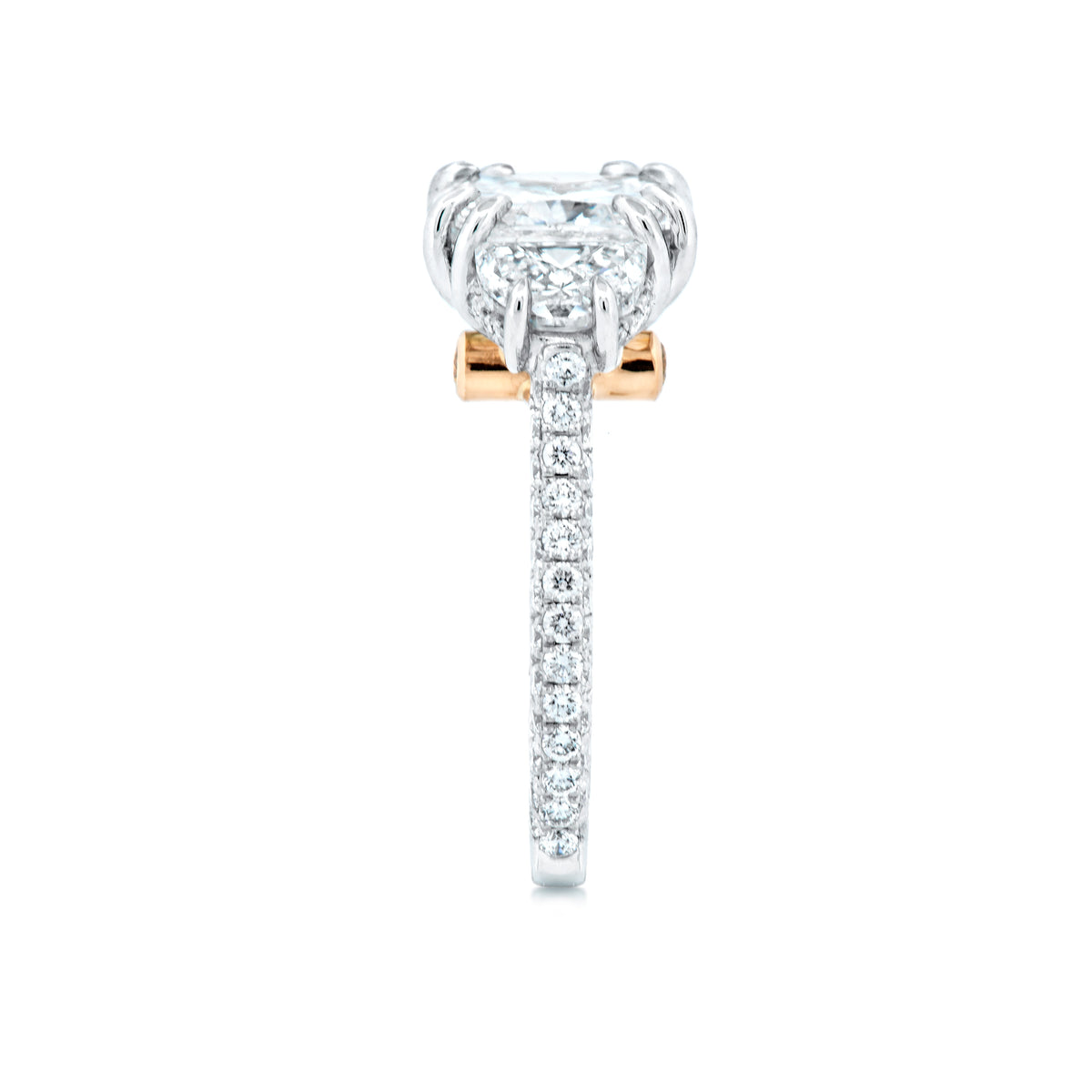 Edgeless Engagement Ring